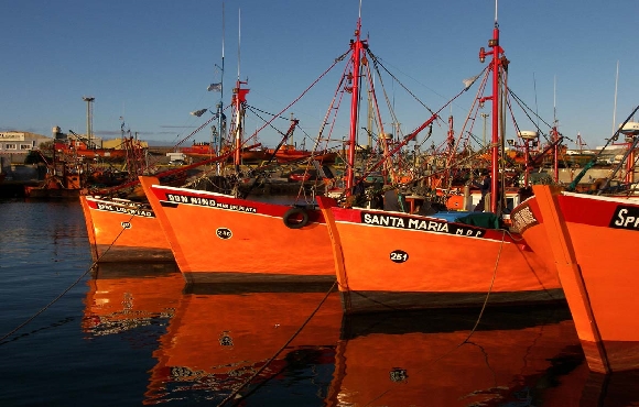 El sector pesquero exportó por más de US$ 1.000 millones en los primeros siete meses del año