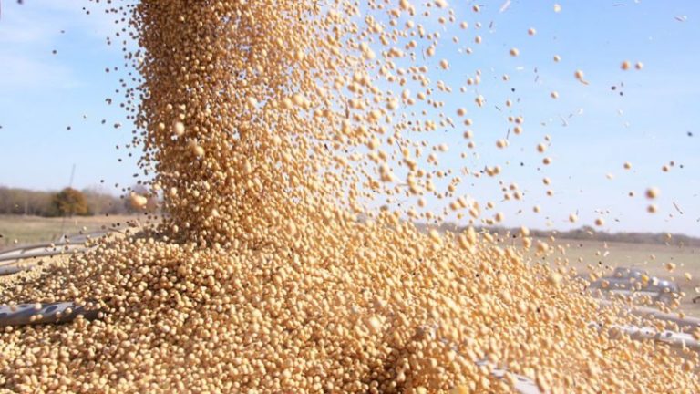 En Rosario bajó el nivel de actividad del mercado de granos