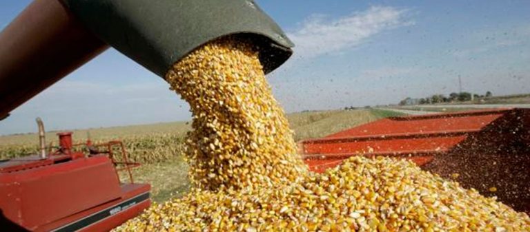 Bahía Blanca: en noviembre se despacharon más de 900 mil toneladas de granos
