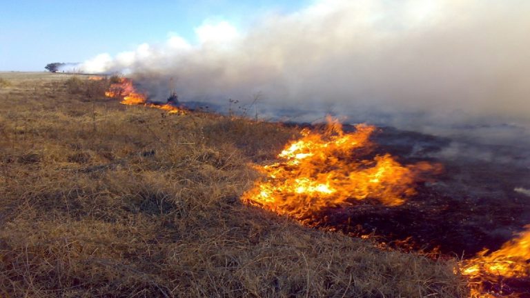 Por incendios, declaran emergencia agropecuaria en localidades cordobesas