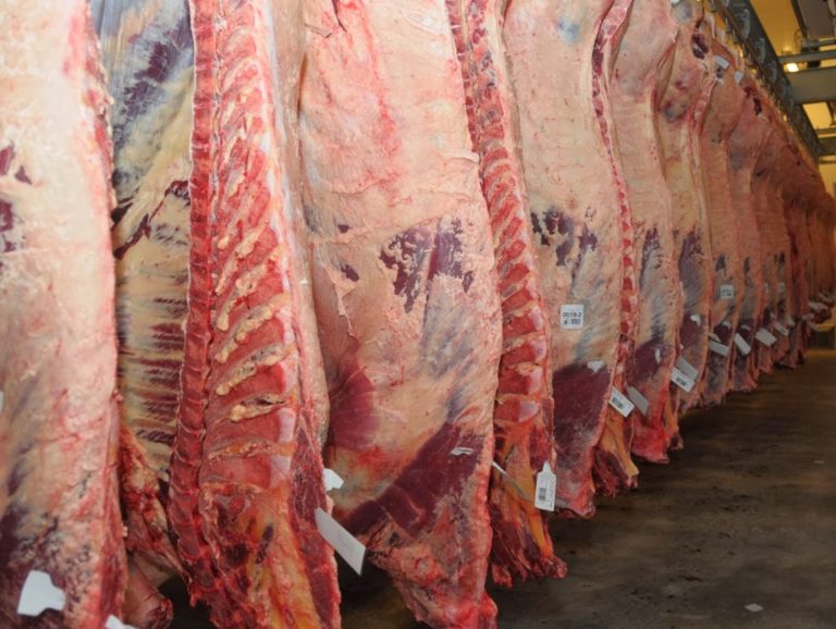Carne: ratifican cierre de exportaciones y esperan una propuesta de los empresarios
