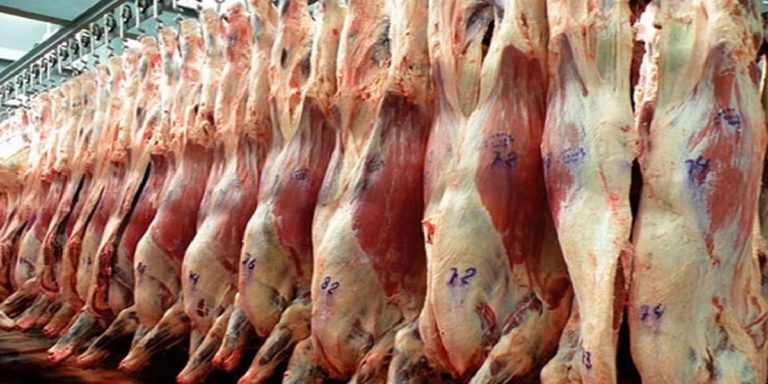 El Gobierno extendió el freno a las exportaciones de carne hasta fin de octubre