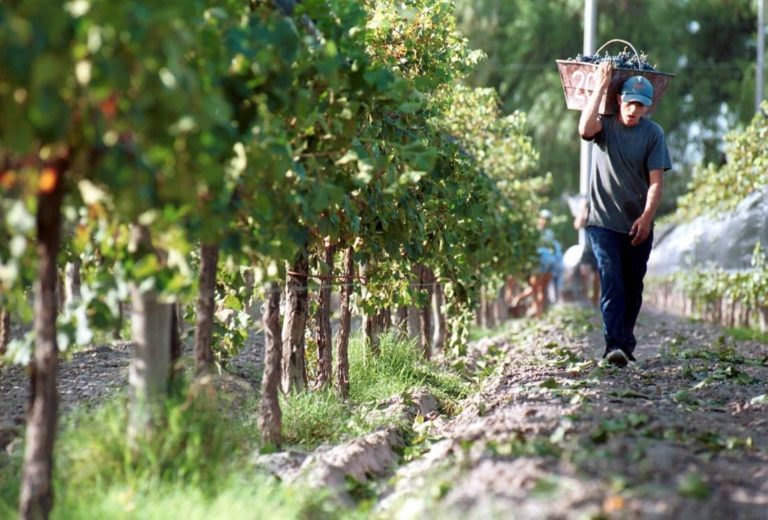 La cadena vitivinícola recupera mercado y crece en el exterior