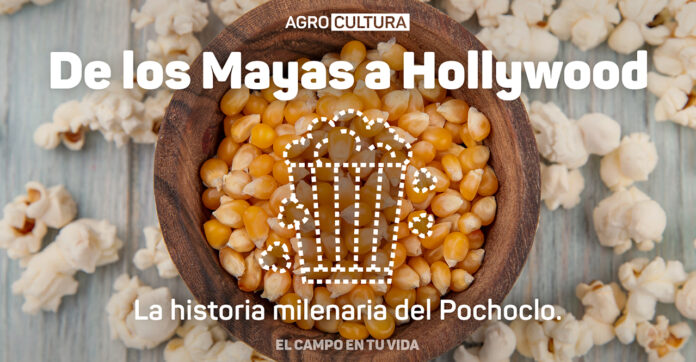 ecetv de los mayas a hollywood la historia milenaria del pochoclo nota web