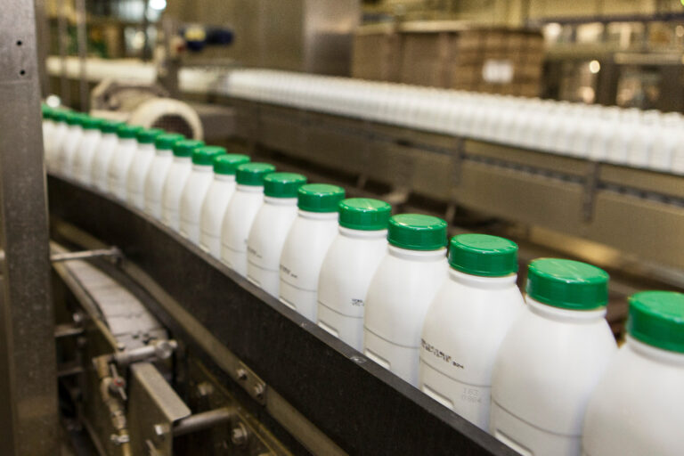 producción láctea